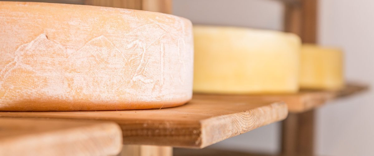 The different cheese varieties of alpine dairy