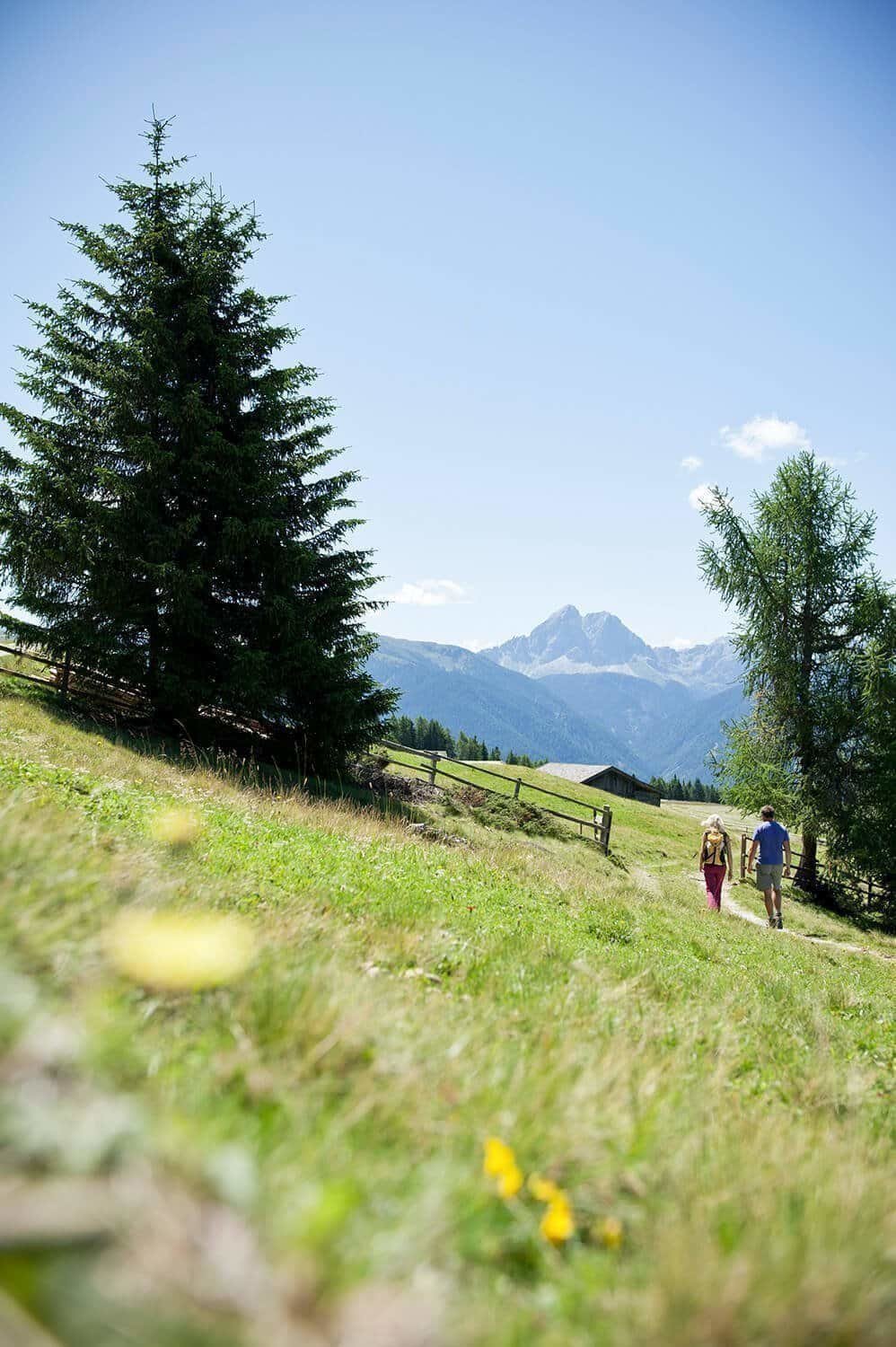 Almhüttenurlaub auf der Sonnenseite der Lüsner Alm