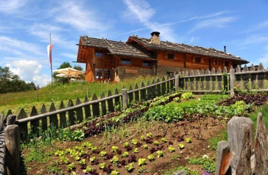 Kreuzwiesenalm in Lüsen - Urlaub in Südtirol (4)