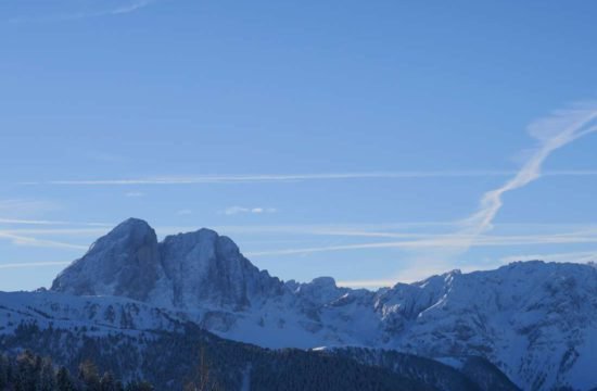 Kreuzwiese mountain hut Luson 109