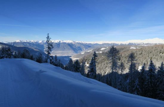 Kreuzwiese mountain hut Luson 107