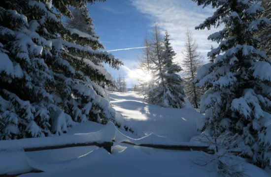 Rifugio Kreuzwiese Luson 102