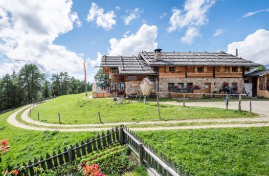 Kreuzwiese mountain hut Luson 25