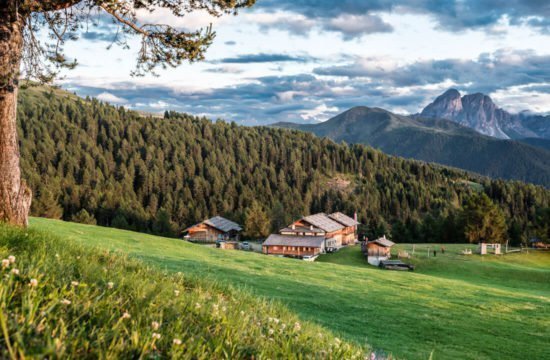 Kreuzwiese mountain hut Luson 30