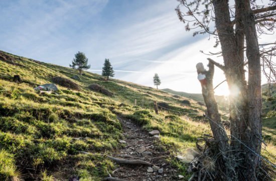 Kreuzwiese mountain hut Luson 32