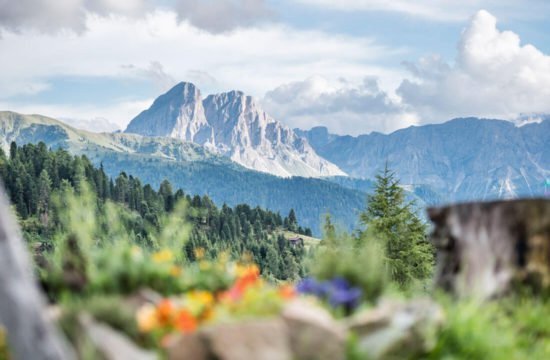 Kreuzwiese mountain hut Luson 41