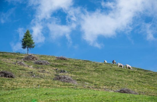 Rifugio Kreuzwiese Luson 43