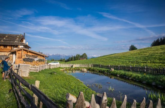 Kreuzwiese mountain hut Luson 68