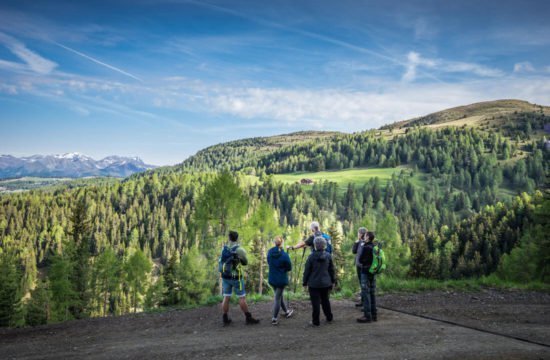 Kreuzwiese mountain hut Luson 73