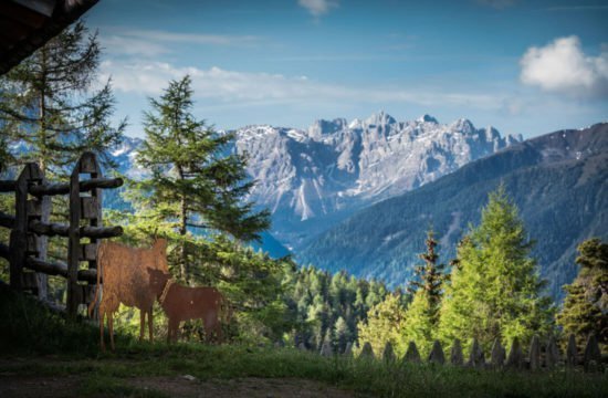 Rifugio Kreuzwiese Luson 76