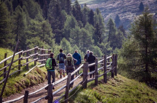 Kreuzwiese mountain hut Luson 77