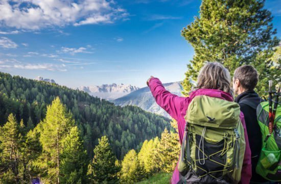 Kreuzwiese mountain hut Luson 69