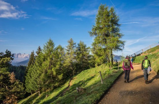 Kreuzwiese mountain hut Luson 80