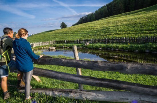 Kreuzwiese mountain hut Luson 81