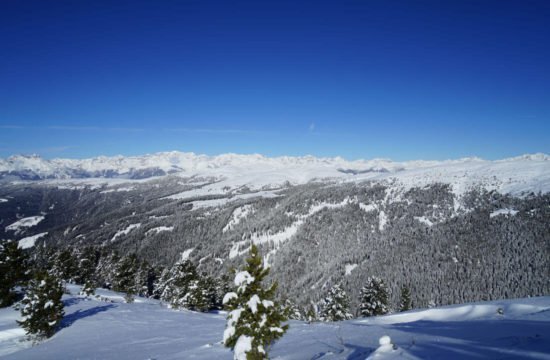 Kreuzwiese mountain hut Luson 83