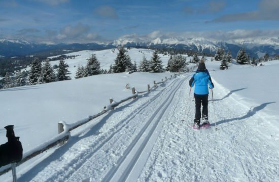 Kreuzwiese mountain hut Luson 86