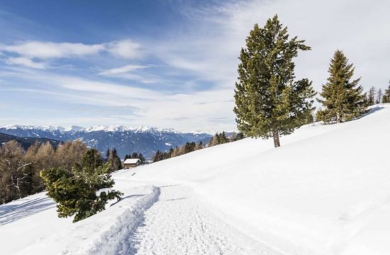 Kreuzwiese mountain hut Luson 151