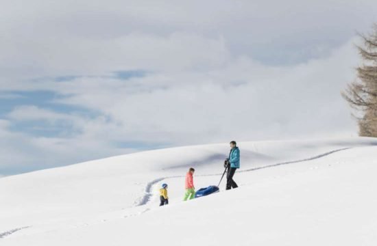 Kreuzwiese mountain hut Luson 152