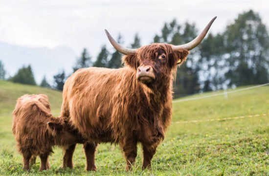 Vacanza escursionistica in Alto Adige 5