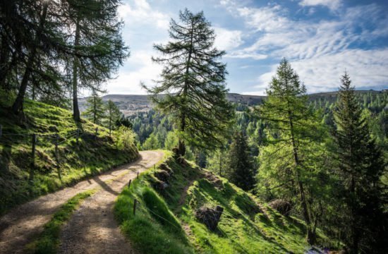 hiking holiday South Tyrol 8