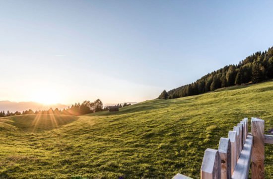 Wellness on the alp - Kreuzwiese hut / South Tyrol 8